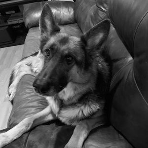 Meet your Posher, Jasmine